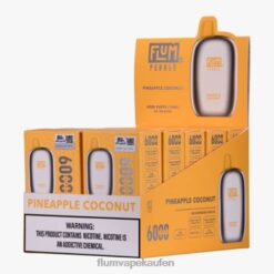 FLUM PEBBLES 6000 Züge 10 Packungen Ananas-Kokosnuss F62X866 Flum Vape Store