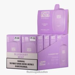 FLUM PEBBLES 6000 Züge 10 Packungen Blaubeerminze F62X818 Flum Pebble Kaufen