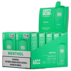 FLUM PEBBLES 6000 Züge 10 Packungen Menthol F62X858 Flum Puff Count