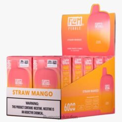 FLUM PEBBLES 6000 Züge 10 Packungen Strohmango F62X869 Flum E Zigarette