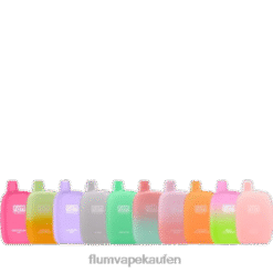 FLUM PEBBLES 6000 Züge 10 Packungen Vielfalt F62X830 Flum Vape Store