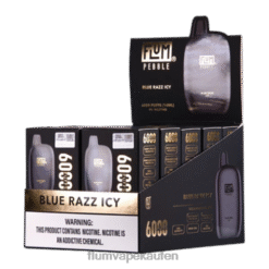 FLUM PEBBLES 6000 Züge 10 Packungen blaues Razz eisig F62X815 Flum E Zigarette