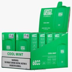 FLUM PEBBLES 6000 Züge 10 Packungen kühle Minze F62X826 Flum Pebble Kaufen Deutschland