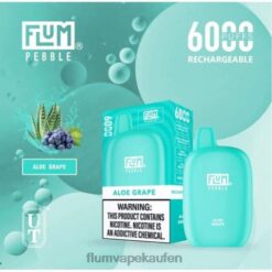 FLUM PEBBLES 6000 Züge Aloe-Traube F62X81 Flum Vape Kaufen