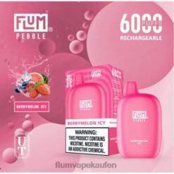 FLUM PEBBLES 6000 Züge Beerenmelone eisig F62X87 Flum Pebble Store