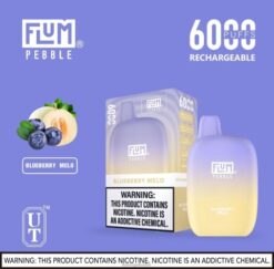 FLUM PEBBLES 6000 Züge Blaubeermelo F62X816 Flum Pebble Store