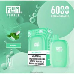 FLUM PEBBLES 6000 Züge Menthol F62X857 Flum Vape Store