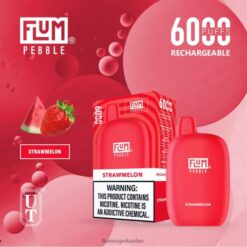 FLUM PEBBLES 6000 Züge Strohmelone F62X876 Flum Puff Count