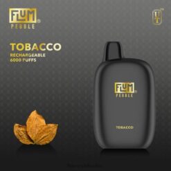 FLUM PEBBLES 6000 Züge Tabak F62X883 Flum Vape Bestellen