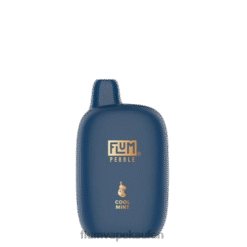 FLUM PEBBLES 6000 Züge (Weihnachtsausgabe) kühle Minze F62X834 Flum Pebble Store