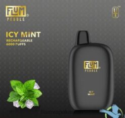 FLUM PEBBLES 6000 Züge eisige Minze F62X849 Flum Puff Count