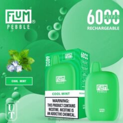 FLUM PEBBLES 6000 Züge kühle Minze F62X824 Flum E Zigarette
