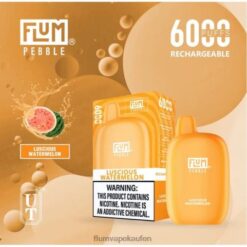 FLUM PEBBLES 6000 Züge köstliche Wassermelone F62X850 Flum Pebble Vape