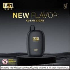 FLUM PEBBLES 6000 Züge kubanische Zigarre F62X829 Flum Vape Bestellen